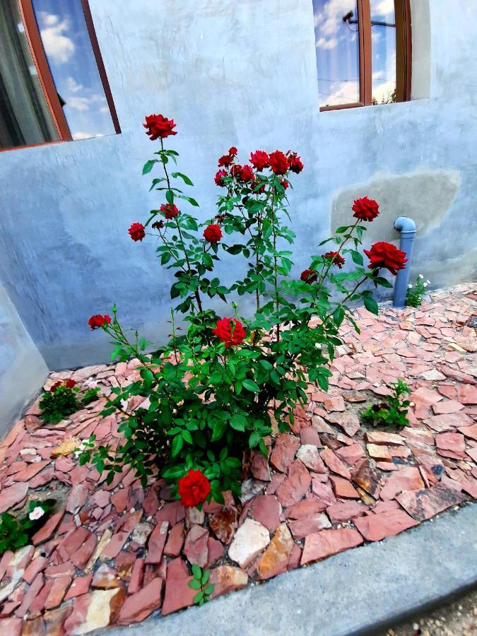 Chʼiva Ararat B&B المظهر الخارجي الصورة