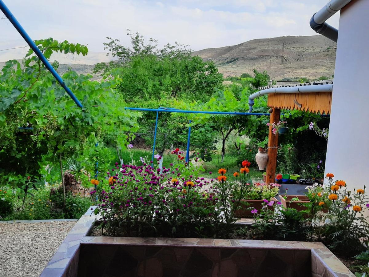 Chʼiva Ararat B&B المظهر الخارجي الصورة